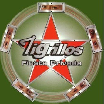Cover for Tigrillos · Fiesta Privada (CD) (2001)