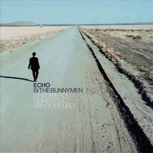 What Are You Going To Do With Your Life? - Echo & the Bunnymen - Musik - LONDON - 0731455608021 - 21. maj 1995
