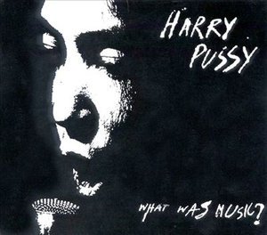 What Was Music - Harry Pussy - Musique - FAB DISTRIBUTION - 0744861706021 - 3 août 2009