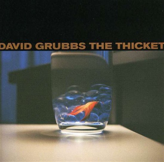 Cover for David Grubbs · Thicket (CD) (1998)