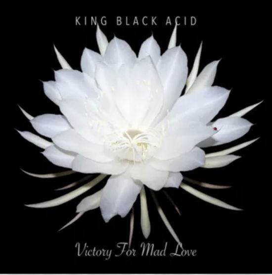 Cover for King Black Acid · Victory For Mad Love (Black Vinyl) (LP) [RSD 2024 edition] (2024)