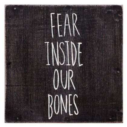 The Almost · Fear Inside Our Bones (CD) (2013)