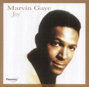 Joy - Marvin Gaye - Musique - PAZZAZZ - 0883717005021 - 29 août 2005