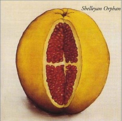 Cover for Shelleyan Orphan · Humroot (CD) (1999)