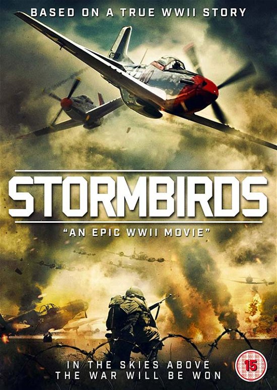 Cover for Stormbirds (DVD) (2019)