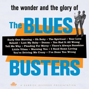 Cover for Blues Busters · Wonder &amp; Glory of the Blues Busters (CD) (2015)