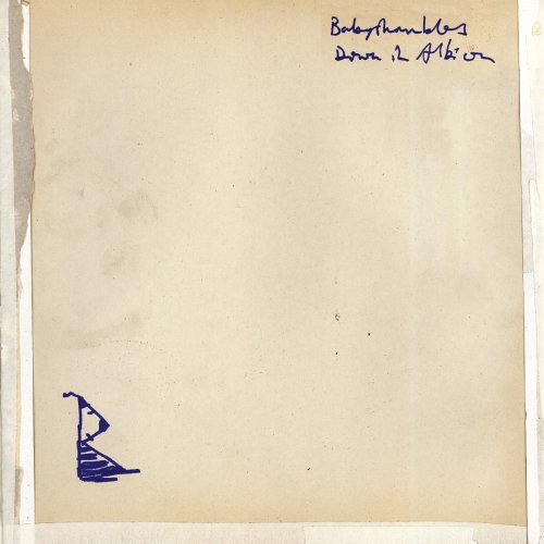 Cover for Babyshambles · Down In Albion (CD) (2022)