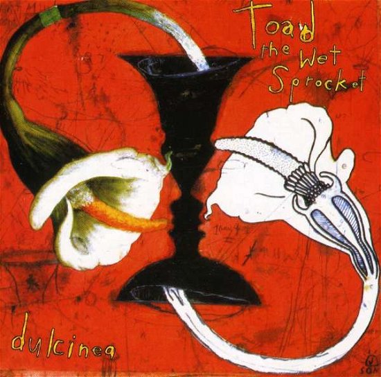 Cover for Toad the Wet Sprocket · Dulcinea Bonus Track (CD) (2009)
