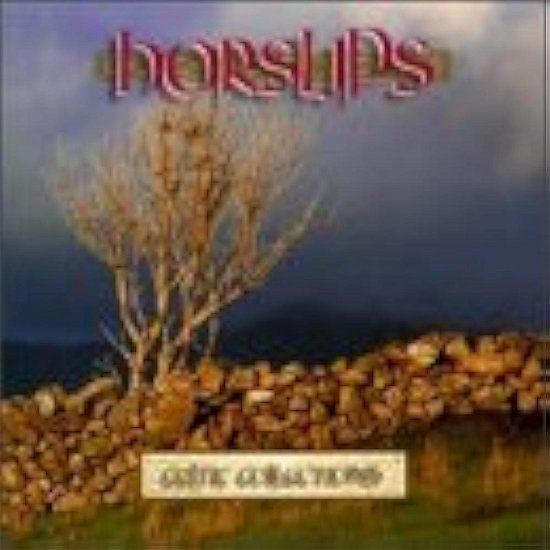 Cover for Aa. Vv. · Celtic Collection - Horslips (CD) (1996)