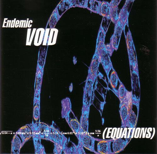 Cover for Endemic Void · Equations (CD)