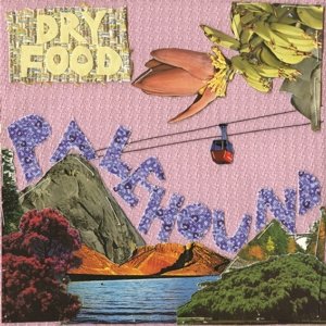 Cover for Palehound · Dry Food (LP) [Standard edition] (2020)
