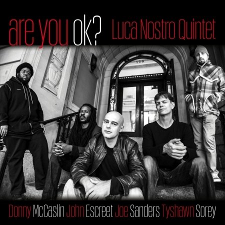 Cover for Luca Nostro · Are You Ok / Various (CD) (2015)