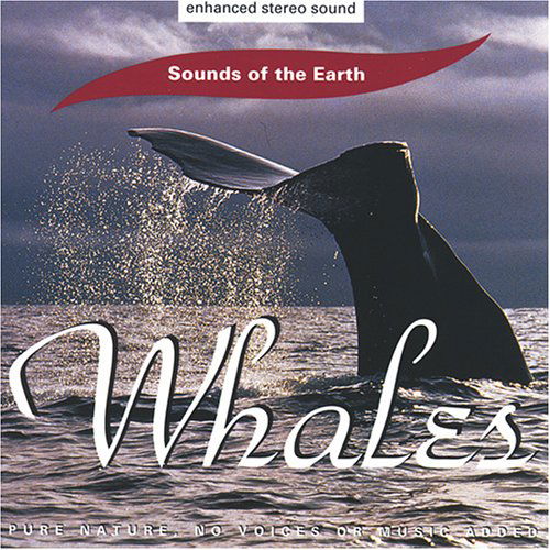 Cover for Sounds of the Earth · Sounds of the Earth - David Sun: Whales (CD) (2016)