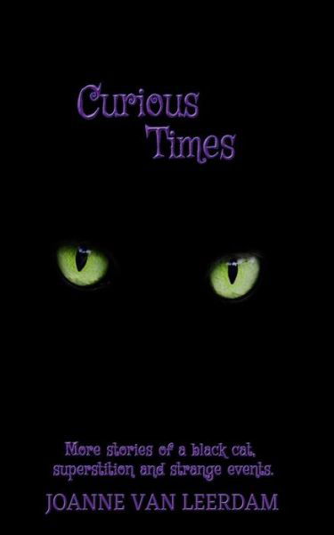 Cover for Joanne van Leerdam · Curious Times (Paperback Book) (2018)