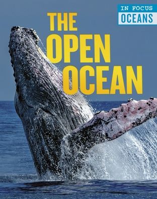 Cover for Claudia Martin · Open Ocean (Book) (2020)