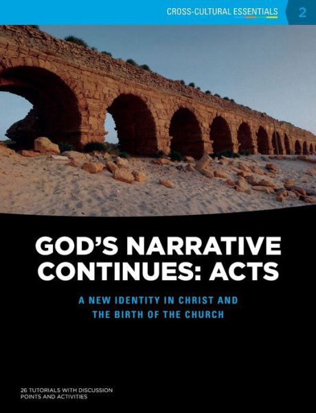 Cover for Accesstruth · God's Narrative Continues (Paperback Book) (2016)