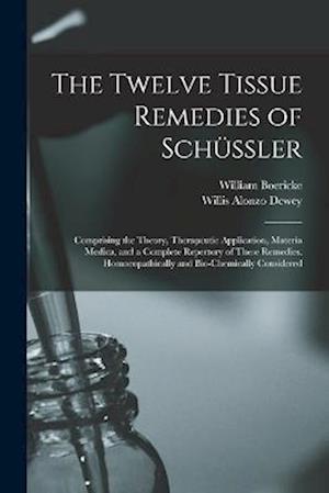 Cover for Willis Alonzo Dewey · Twelve Tissue Remedies of Schüssler (Book) (2022)