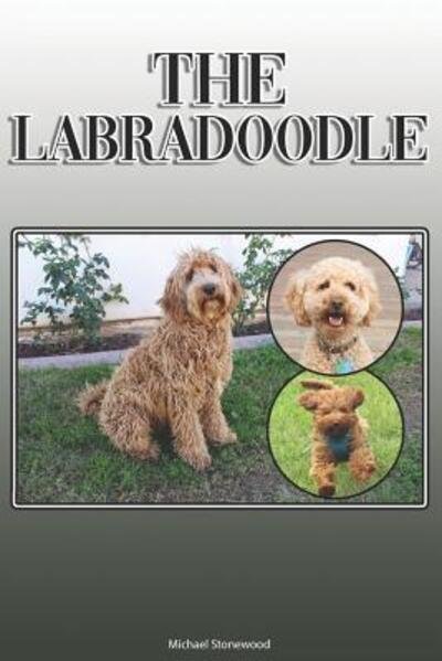 Cover for Michael Stonewood · The Labradoodle (Paperback Book) (2019)