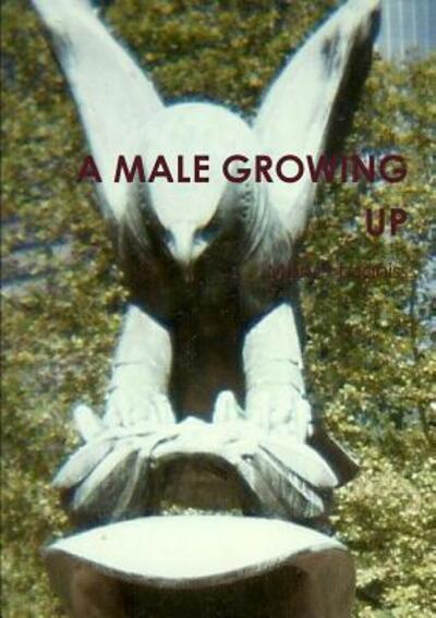 Cover for Manet Legniss · A Male Growing Up (Paperback Book) (2016)