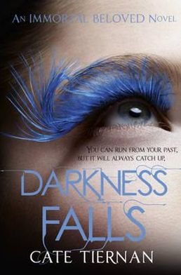 Cover for Cate Tiernan · Darkness Falls (Immortal Beloved Book Two) (Paperback Book) (2012)