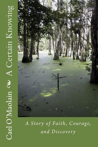 Cover for Cael O\'maolain · A Certain Knowing: a Story of Faith, Courage, and Discovery (Paperback Bog) (2015)