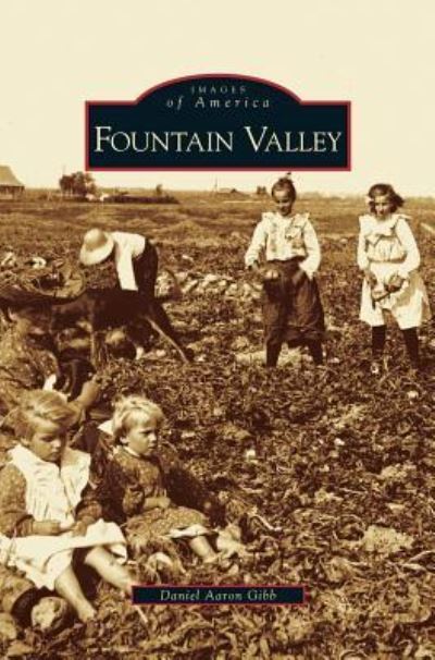 Cover for Daniel Aaron Gibb · Fountain Valley (Hardcover Book) (2007)