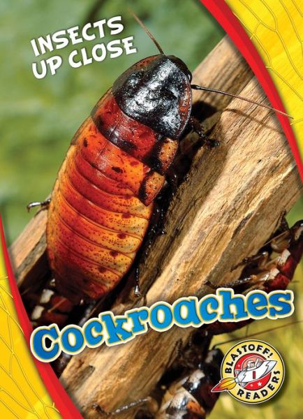 Cover for Patrick Perish · Cockroaches - Insects Up Close (Inbunden Bok) (2019)