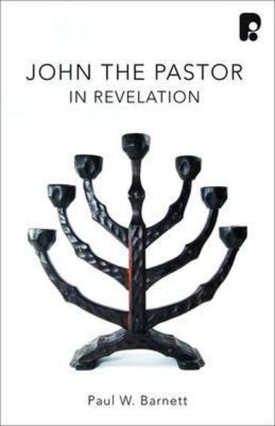 John the Pastor: Encouragement for a Struggling Church: A Prophecy of Grace and Hope for Today's Church - Paul Barnett - Książki - Send The Light - 9781842279021 - 1 września 2015