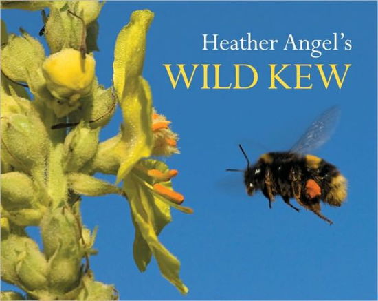 Cover for Heather Angel · Heather Angel's Wild Kew (Paperback Book) (2010)