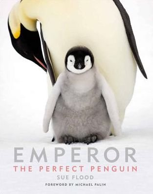 Cover for Sue Flood · Emperor: The Perfect Penguin (Hardcover bog) (2018)