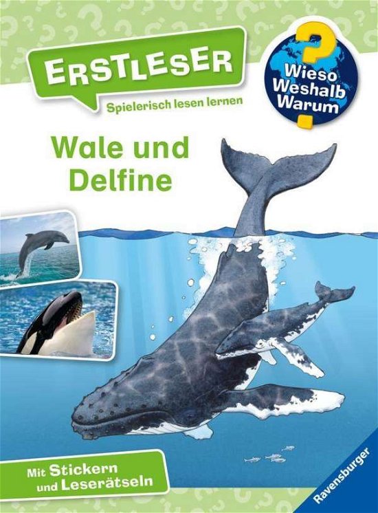 Cover for Sandra Noa · Wale und Delfine (Legetøj)