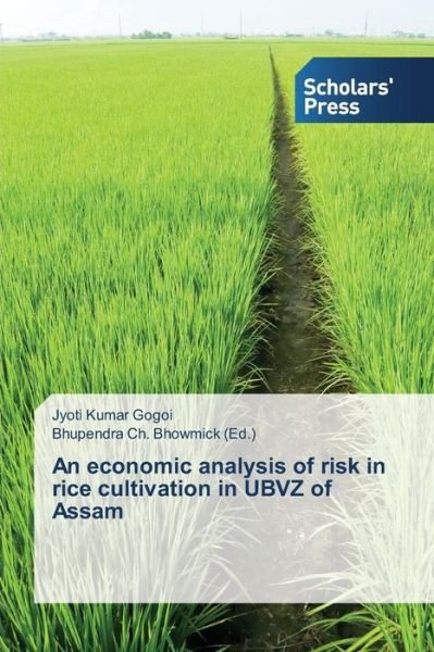 Cover for Gogoi Jyoti Kumar · An Economic Analysis of Risk in Rice Cultivation in Ubvz of Assam (Paperback Book) (2015)