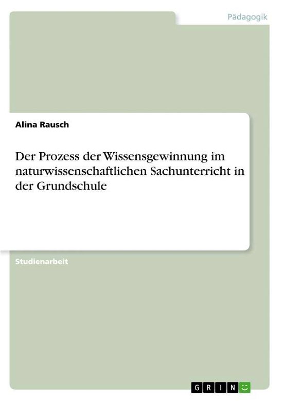 Cover for Rausch · Der Prozess der Wissensgewinnung (Book)