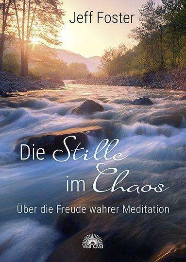 Cover for Foster · Die Stille im Chaos (Book)