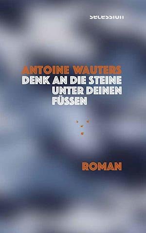 Cover for Antoine Wauters · Denk an die Steine unter Deinen Füssen (Hardcover bog) (2021)