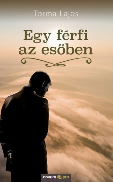 Cover for Lajos Torma · Egy ferfi az es?ben (Paperback Book) (2021)