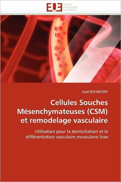 Cover for Gaël Rochefort · Cellules Souches Mésenchymateuses (Csm) et Remodelage Vasculaire: Utilisation Pour La Domiciliation et La Différentiation Vasculaire Musculaire Lisse (Pocketbok) [French edition] (2018)