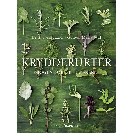 Cover for Lene Tvedegaard &amp; Gunvor Maria Juul · Krydderurter (Bound Book) [3e uitgave] (2024)