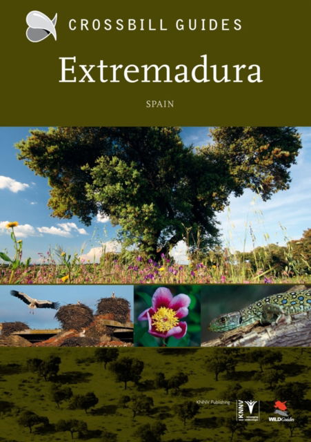 Cover for Dirk Hilbers · Extremadura (Paperback Book) (2013)