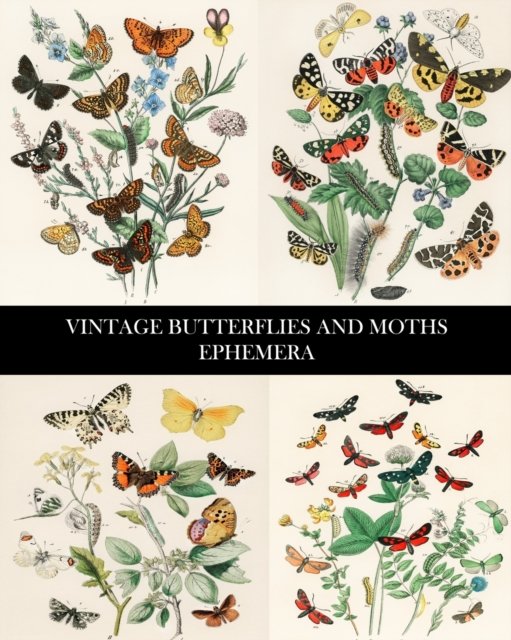 Cover for Vintage Revisited Press · Vintage Butterflies and Moths Ephemera: 35 Sheets: One-Sided Lepidopterology Decorative Paper (Taschenbuch) (2024)