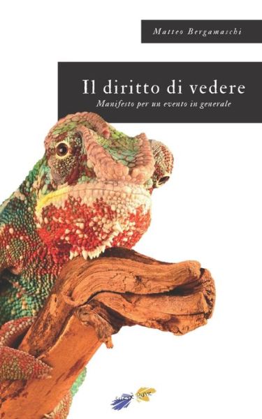 Cover for Matteo Bergamaschi · Il diritto di vedere (Pocketbok) (2020)