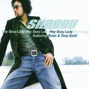 Cover for Shaggy · Hey Sexy Lady (SCD)