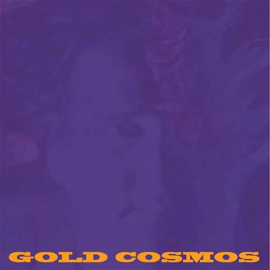 Gold Cosmos - Joshua Burkett - Música - FEEDING TUBE - 0019962203022 - 10 de julho de 2015