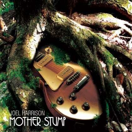 Mother Stump - Joel Harrison - Musik - CUNEIFORM REC - 0045775039022 - 13. Mai 2014