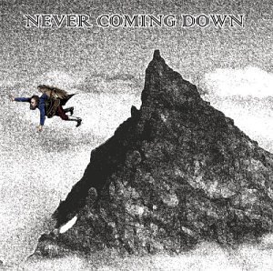 Cover for Ncd · Never Coming Down (CD) (2003)