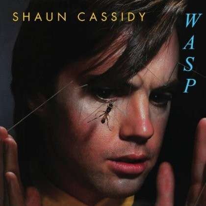 Cover for Shaun Cassidy · Wasp (CD) (2017)