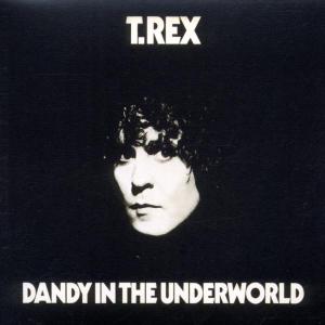 Dandy In The Underworld - T. Rex - Musiikki - EDSEL - 0740155172022 - maanantai 29. heinäkuuta 2002