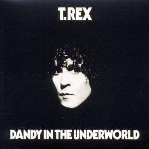 Cover for T. Rex · Dandy In The Underworld (CD) [Deluxe edition] (2002)
