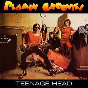 Teenage Head - Flamin' Groovies - Musikk - RCA - 0743217169022 - 22. august 2006