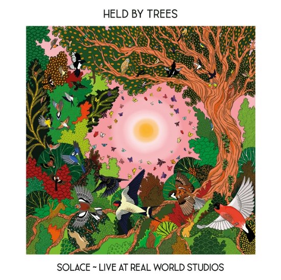 Cover for Held by Trees · Solace - Live From Real World Studios (CD) (2023)
